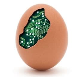 speaking-easter-egg-2019